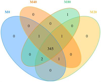 Melatonin feeding changed the microbial diversity and metabolism of the broiler cecum